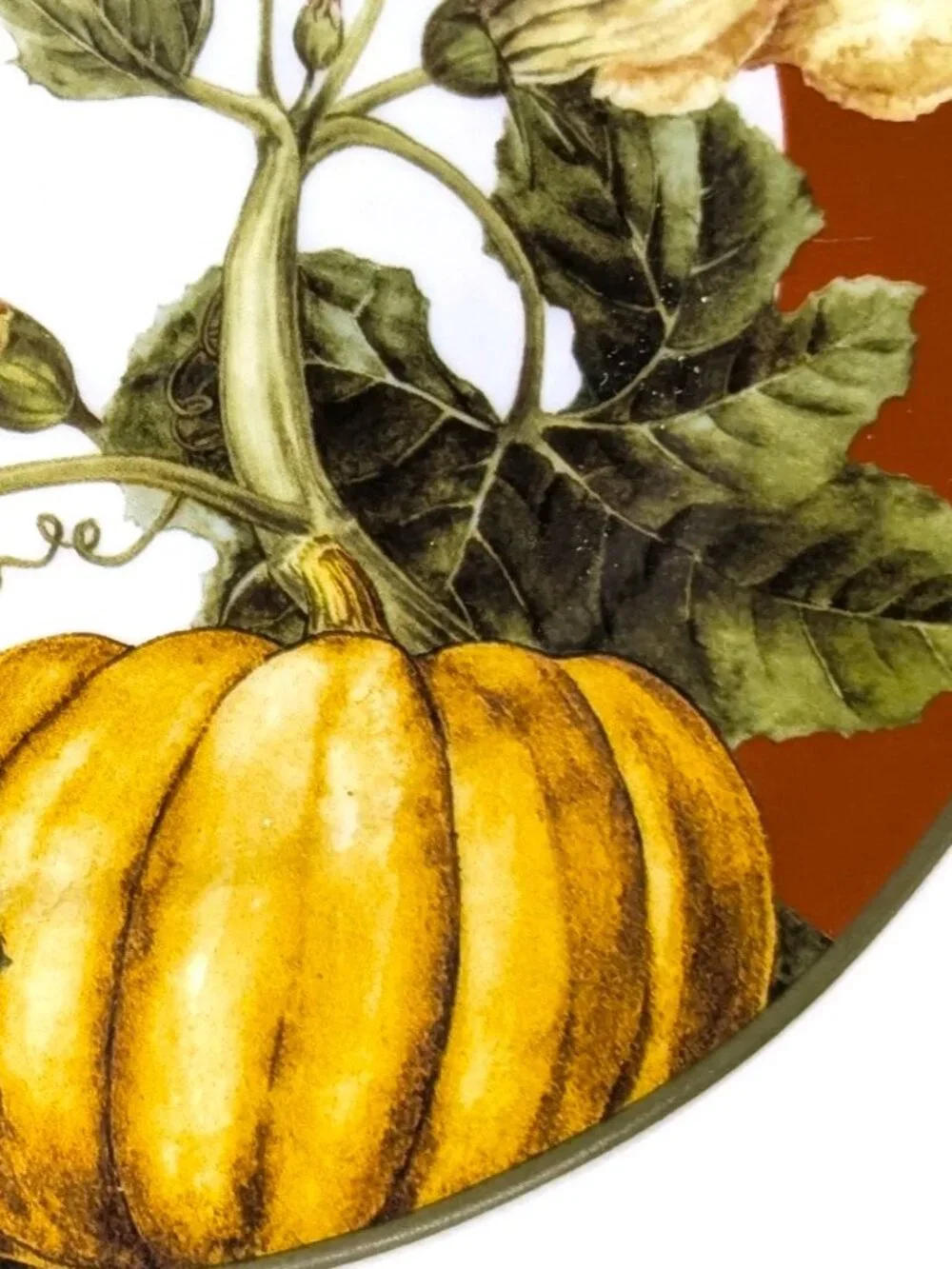 Williams Sonoma BOTANICAL PUMPKIN Salad Plates Set 5 Dark Red Fall 8 1/2
